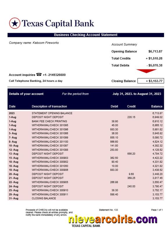 Texas Capital Bank company account statement